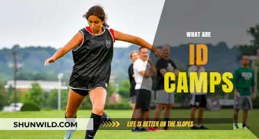 Understanding ID Camps: Purpose, Structure, and Impact Explained