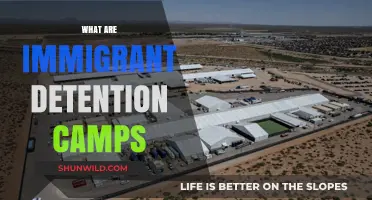 Understanding Immigrant Detention Camps: Purpose, Conditions, and Controversies Explained
