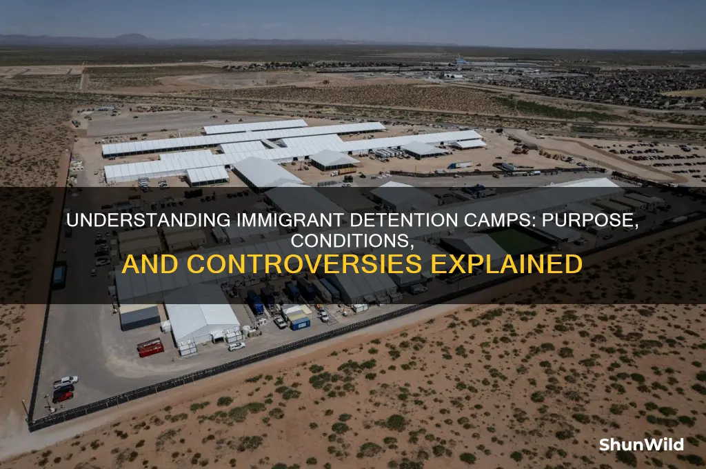 what are immigrant detention camps
