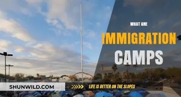 Understanding Immigration Camps: Purpose, Conditions, and Global Impact Explained