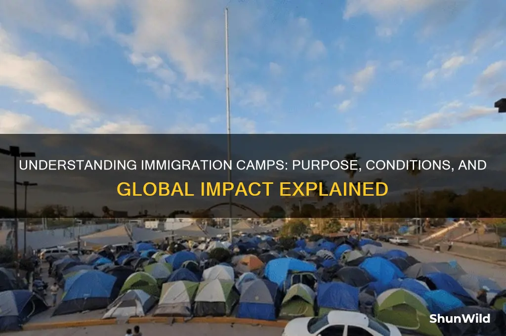 what are immigration camps