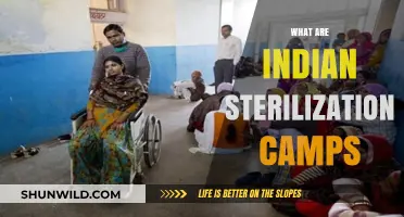 Understanding India's Sterilization Camps: History, Impact, and Controversies Explained
