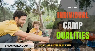 Exploring Unique Individual Camp Qualities for Personal Growth and Adventure