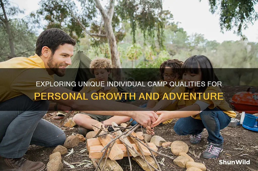what are individual camp qualities