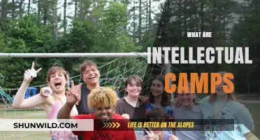 Exploring Intellectual Camps: Understanding Their Purpose and Impact on Society