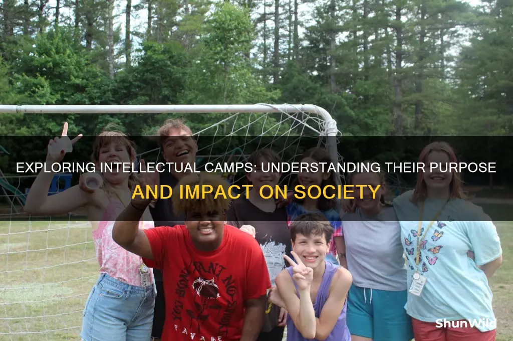 what are intellectual camps
