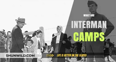 Understanding Interman Camps: Origins, Purpose, and Historical Significance Explained