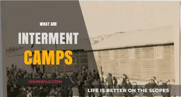 Understanding Interment Camps: History, Impact, and Legacy Explained