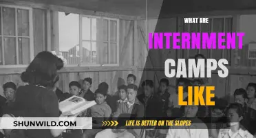 Life Inside Internment Camps: Harsh Realities and Daily Struggles