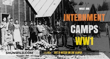 Understanding Internment Camps: World War I's Hidden History and Impact