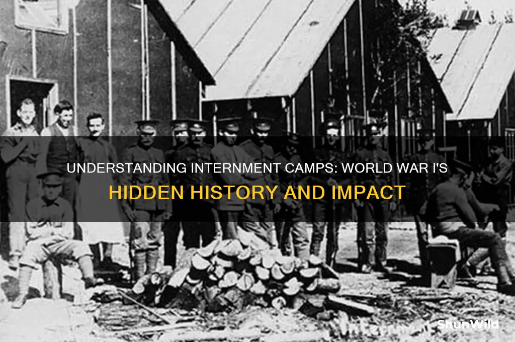 what are internment camps ww1