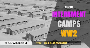 Understanding Internment Camps During World War II: History and Impact