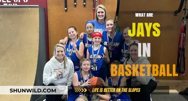 Jay-Walking: Understanding Basketball's 'Jays