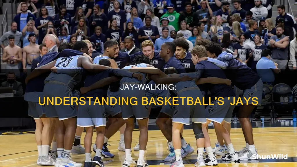 what are jays in basketball