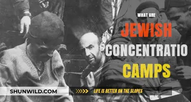 Understanding Jewish Concentration Camps: History, Horrors, and Holocaust Legacy