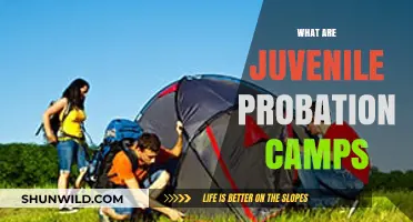 Understanding Juvenile Probation Camps: Purpose, Programs, and Impact
