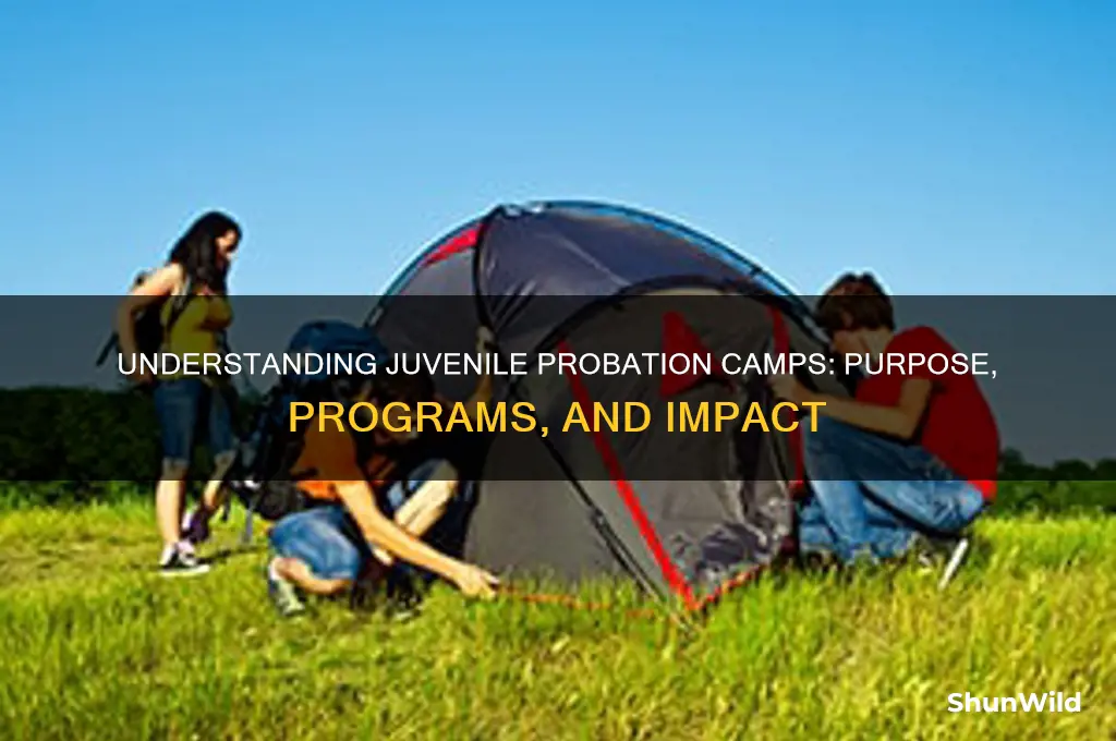 what are juvenile probation camps
