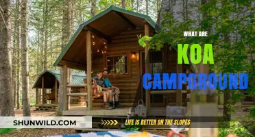 Discovering Koa Campgrounds: Your Ultimate Outdoor Adventure Guide