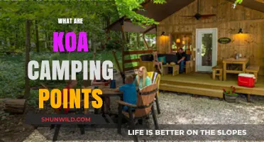 Understanding Koa Camping Points: Benefits, Rewards, and How to Earn Them