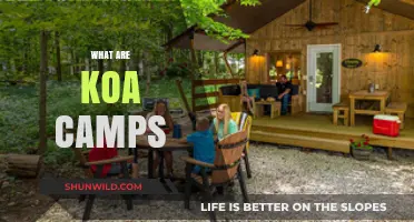 Exploring KOA Camps: Family-Friendly Outdoor Adventures and Amenities