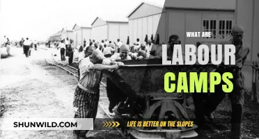 Understanding Labour Camps: History, Conditions, and Modern Implications