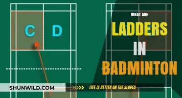 Badminton Ladders: Strategies and Techniques to Win
