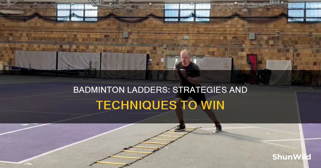 what are ladders in badminton