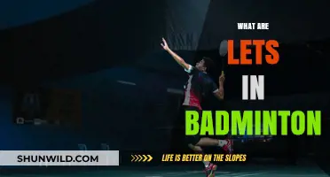 Badminton Basics: Understanding the Let