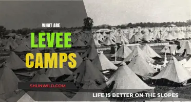 Understanding Levee Camps: Origins, Purpose, and Historical Significance
