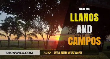 Exploring South America's Llanos and Campos: Unique Ecosystems and Landscapes