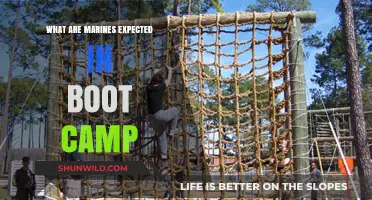 What Marines Learn and Endure in Boot Camp Training