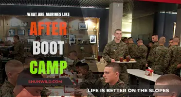 Life After Boot Camp: Understanding Marines' Transformation and Daily Reality