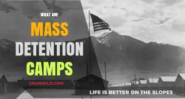 Understanding Mass Detention Camps: History, Purpose, and Human Rights Concerns