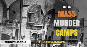 Understanding Mass Murder Camps: History, Atrocities, and Lasting Impact