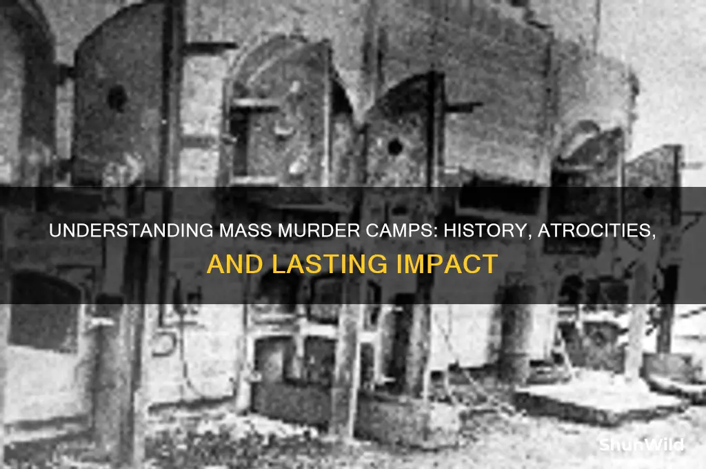 what are mass murder camps