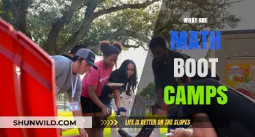 Math Boot Camps: Accelerating Skills Through Intensive Learning Programs
