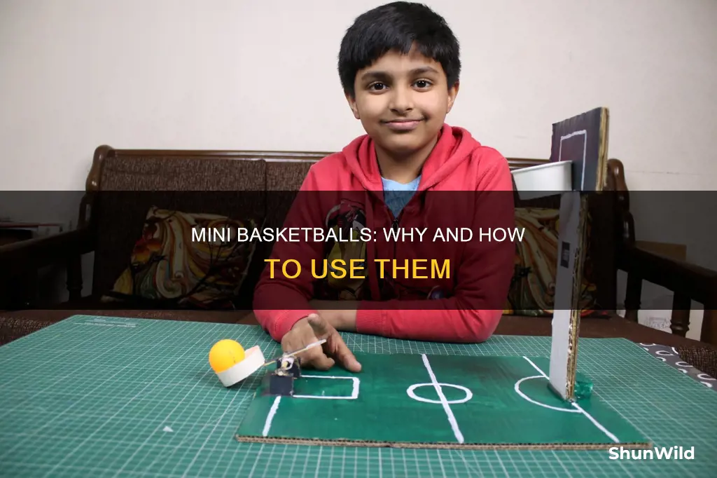 what are mini basketballs for