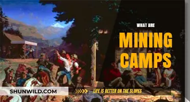 Exploring the History and Life in Remote Mining Camps