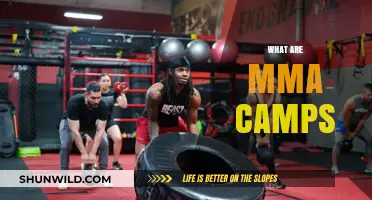 Exploring MMA Camps: Training, Benefits, and Top Destinations for Fighters