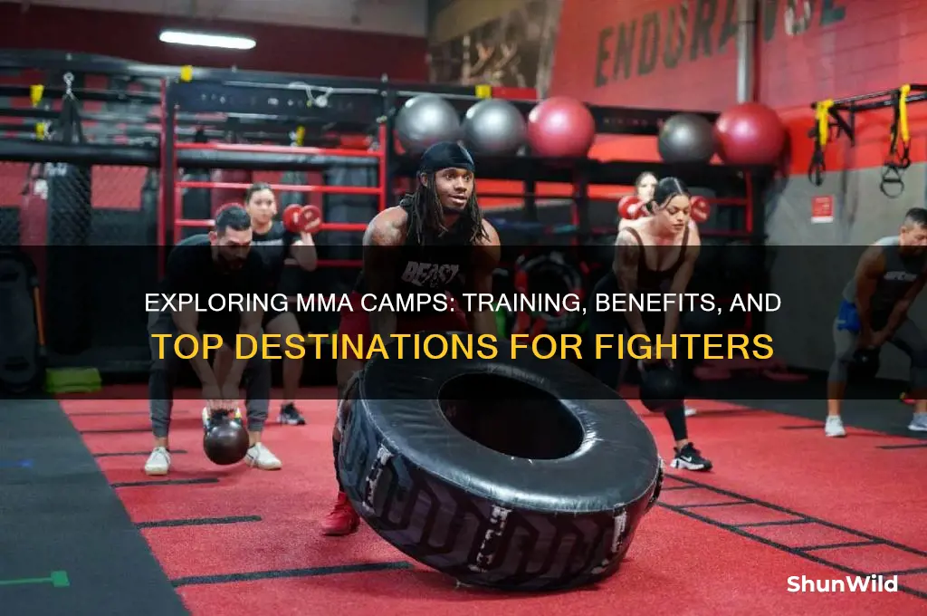 what are mma camps