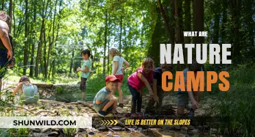 Exploring Nature Camps: Outdoor Adventures and Environmental Learning Experiences