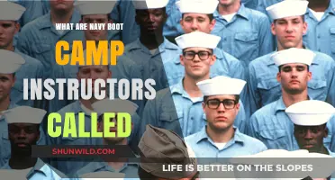 Unveiling the Title: Navy Boot Camp Instructors' Official Designation Explained