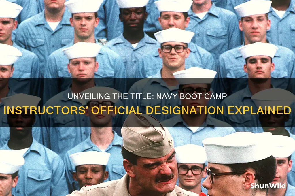 what are navy boot camp instructors called
