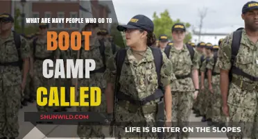 Recruits in Navy Boot Camp: Understanding Their Role and Journey