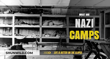 Understanding Nazi Concentration Camps: History, Purpose, and Legacy
