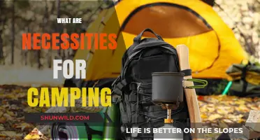 Essential Camping Gear: Must-Haves for a Safe and Comfortable Outdoor Adventure