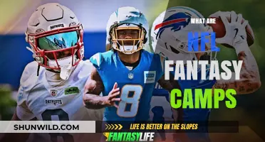Experience NFL Fantasy Camps: Live Your Pro Football Dreams