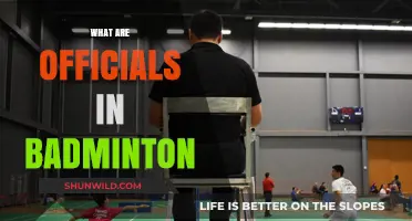 Officials in Badminton: Who's Who on the Court
