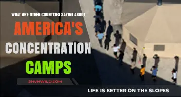 Global Reactions to America's Detention Centers: A Critical Perspective