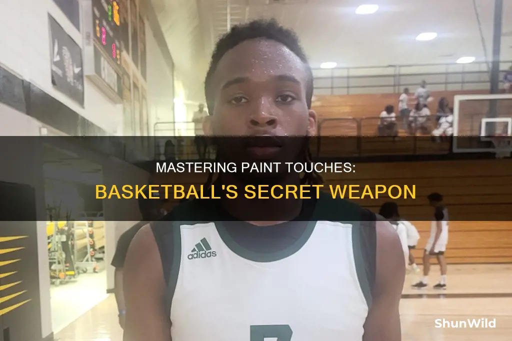what are paint touches in basketball